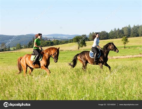 mujeres desnudas con caballos|Chica se deja follar brutalmente por un pony .